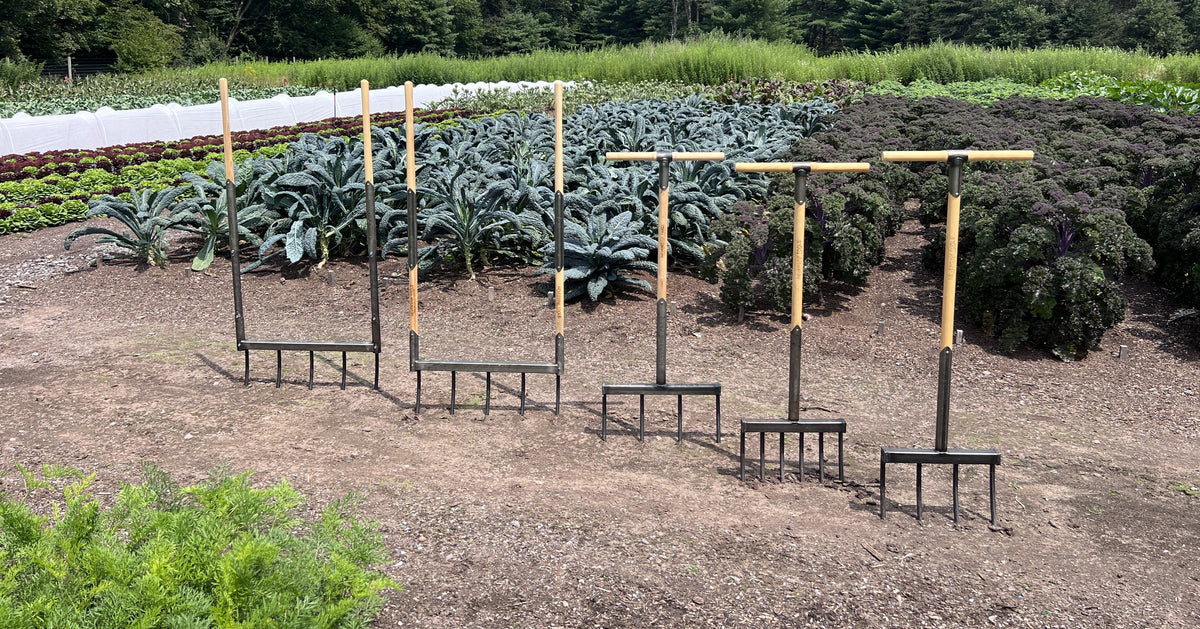 Four broad forks in market farm bed.