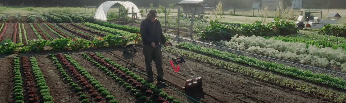 Man walking behind tilther in field on market farm