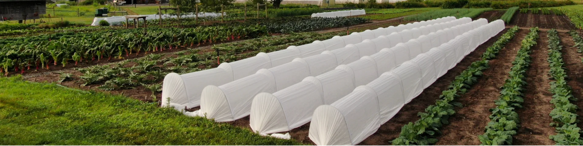 How to Harvest Deep into Fall Using Season Extension Techniques