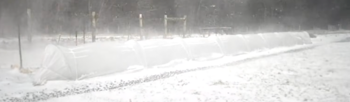 Overwintering Crops for an Early Spring Harvest