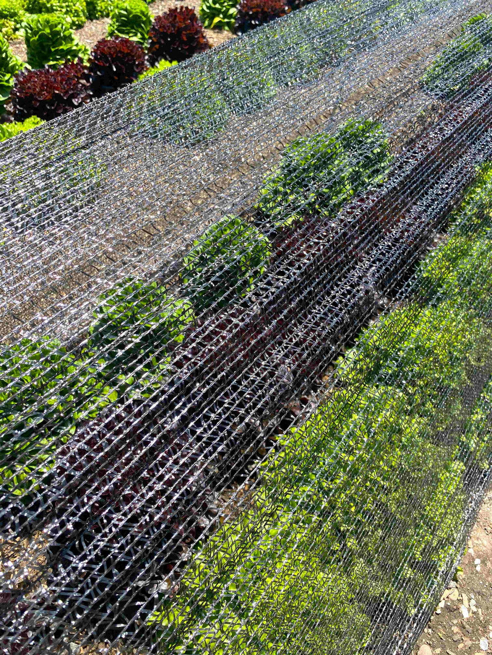 LowCat™ Shade Cloth