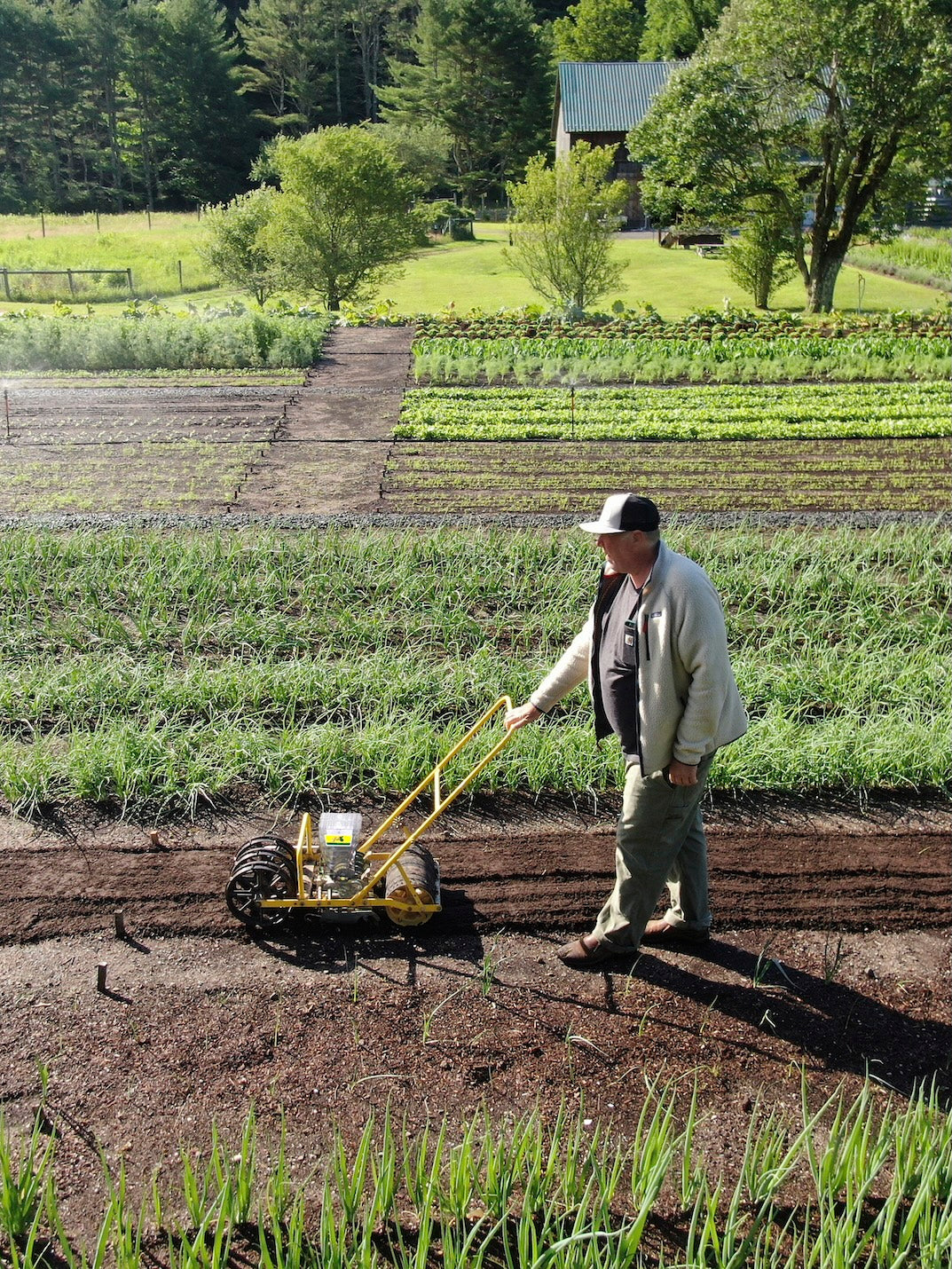 Jang JP-2 Two Row Push Seeder – Neversink Tools