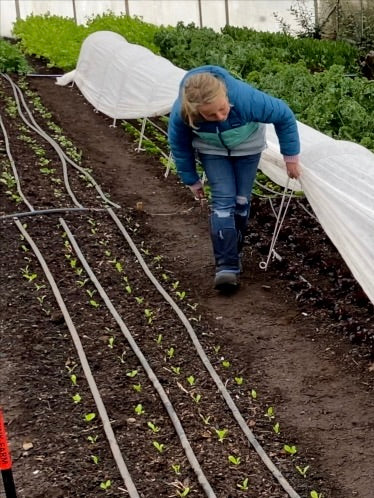LowCat™ Tunnel 5 Hoop Kit for Gardeners