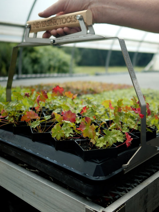Winstrip® XL Pot
