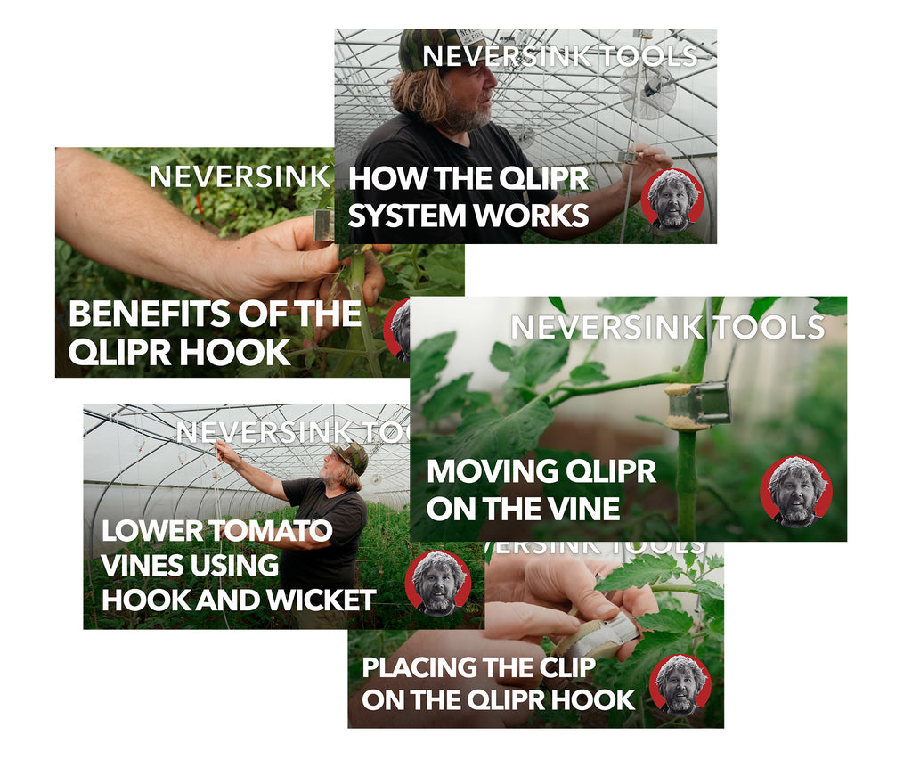 Tomato Trellising | Hard Prune | Lower and Lean | Hook and Wicket | How to | Educational Video
