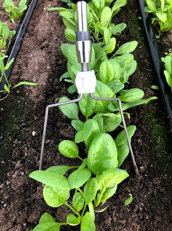 Torsion Wire | Weeder | Hoe | Mutineer