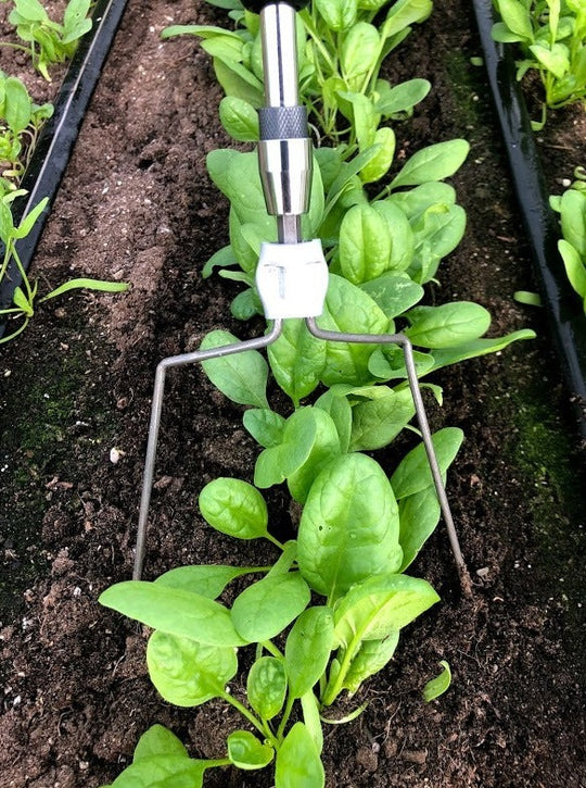 Torsion Wire | Weeder | Hoe | Mutineer