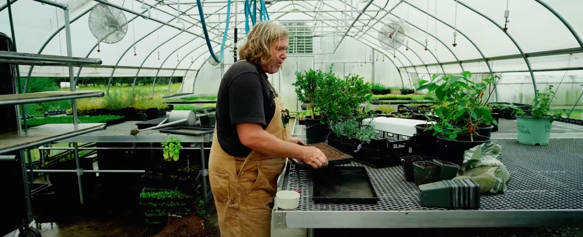 Seedling trays nested in bottom watering trays