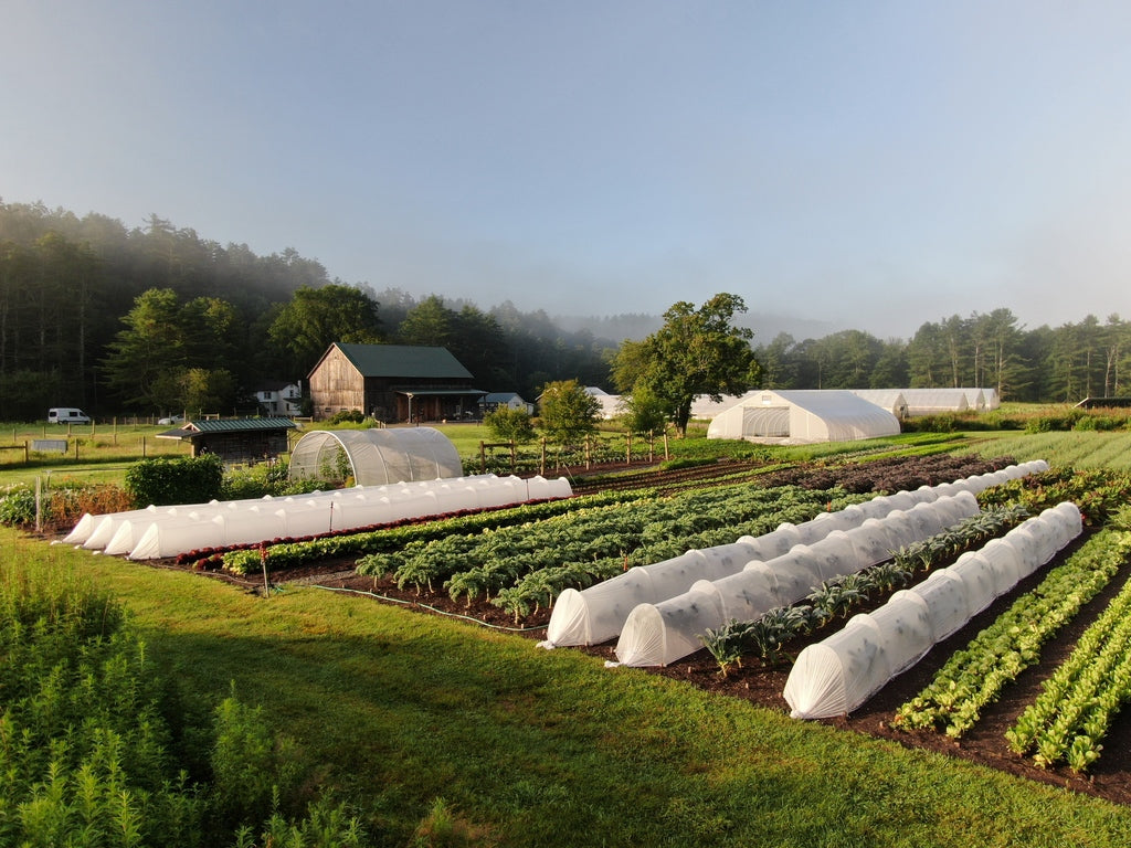 LowCat low tunnel system for protecting vegetable crops in market garden beds