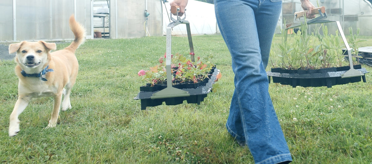 WINSTRIP XL Pots for plant propagation
