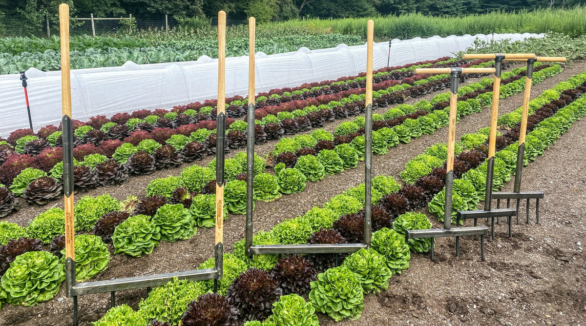 Garden forks and broadforks for soil loosening