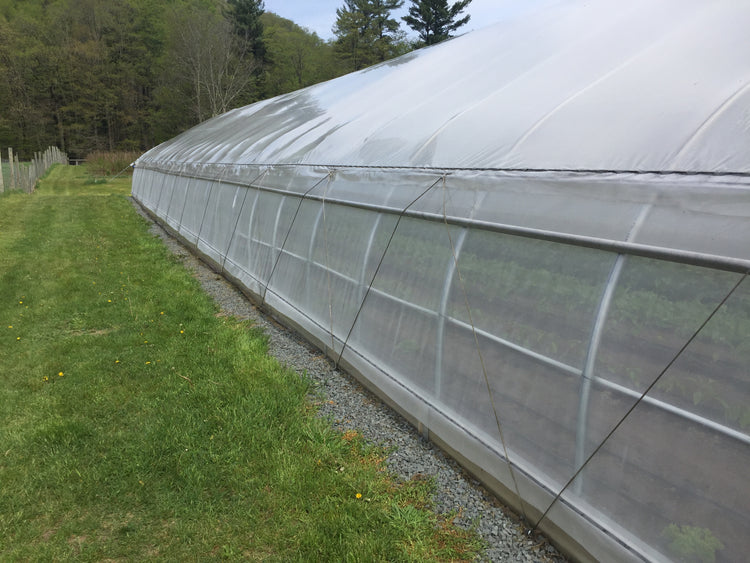 Insect Netting Crop Protection for LowCat Low Tunnel – Neversink Tools
