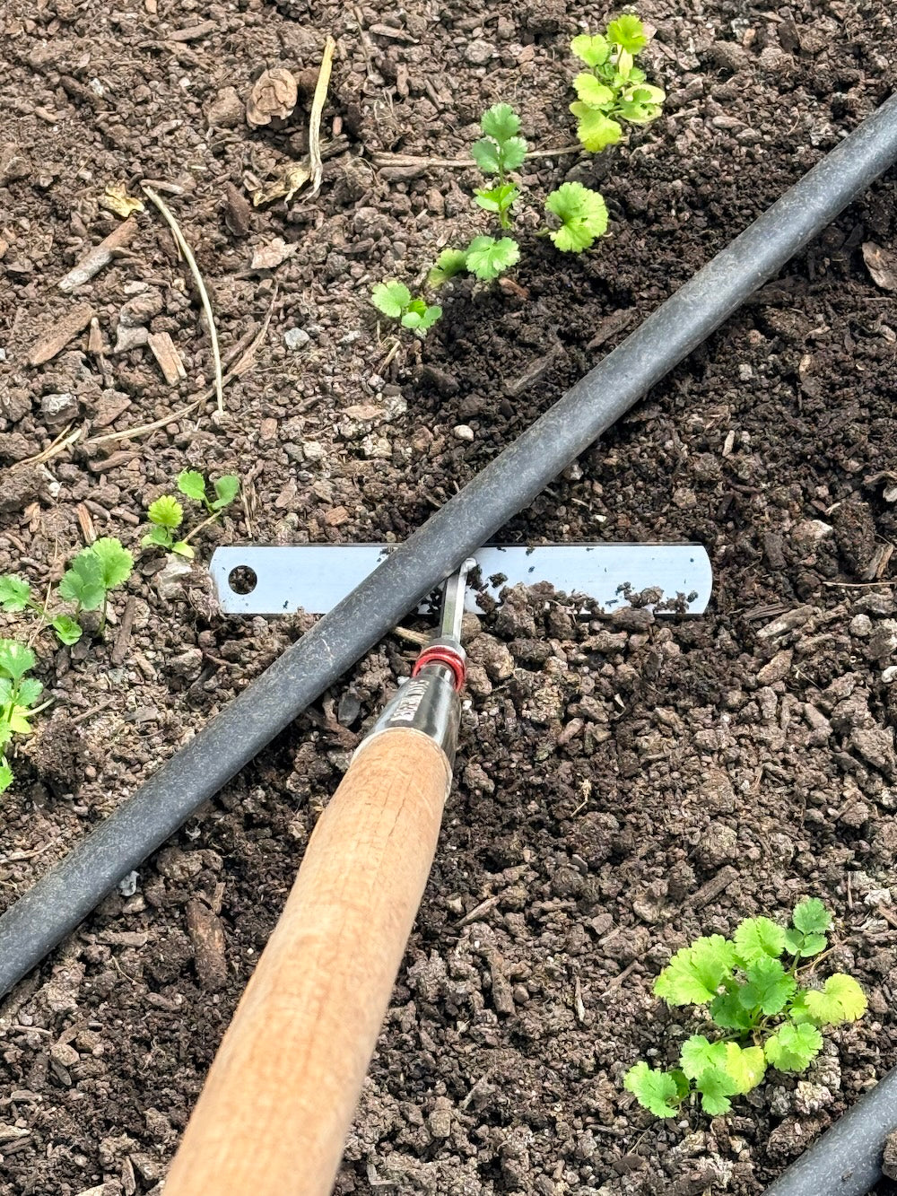 Broad Hoe Kit for Long Handle Mutineer