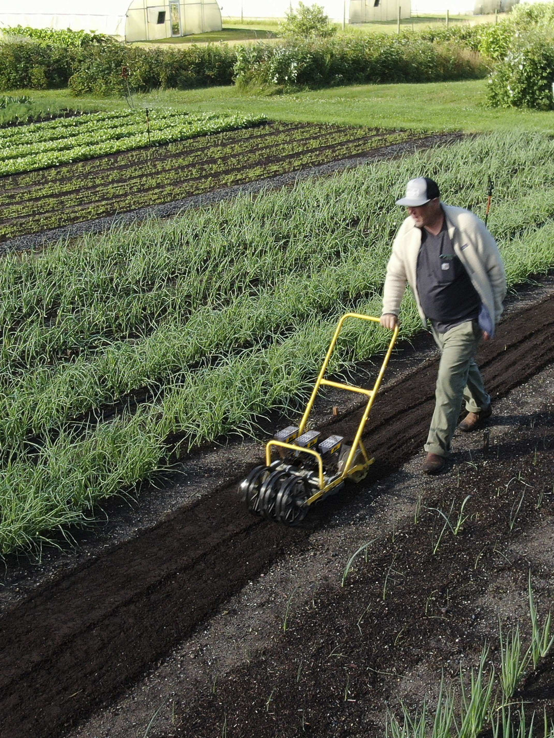jang seed planter Jang JP-3 Three Row Push Seeder – Neversink Tools