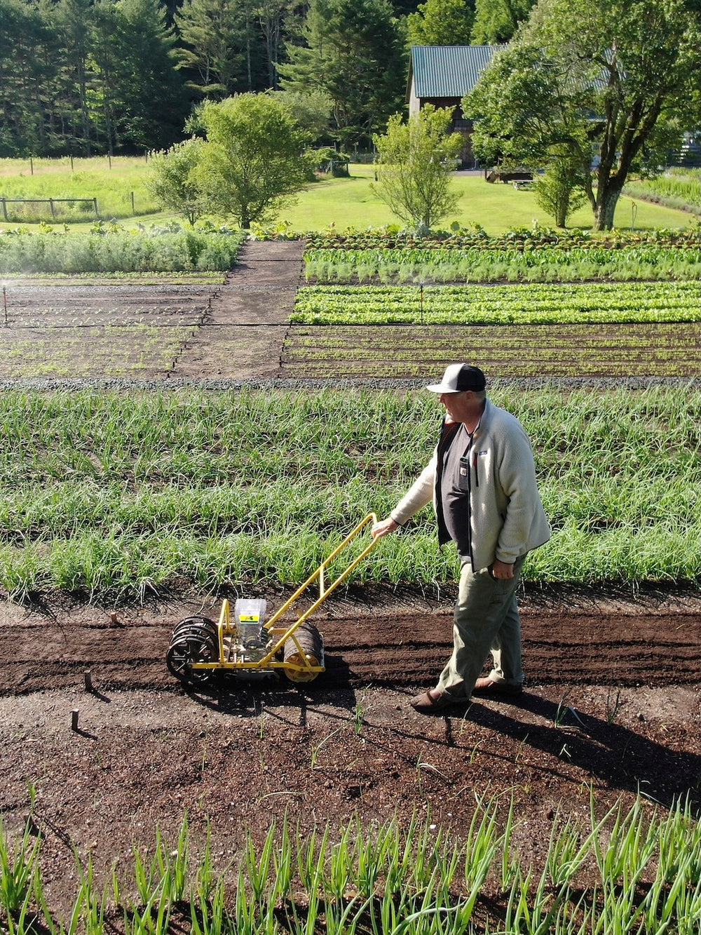 Jang JP-2 Two Row Push Seeder