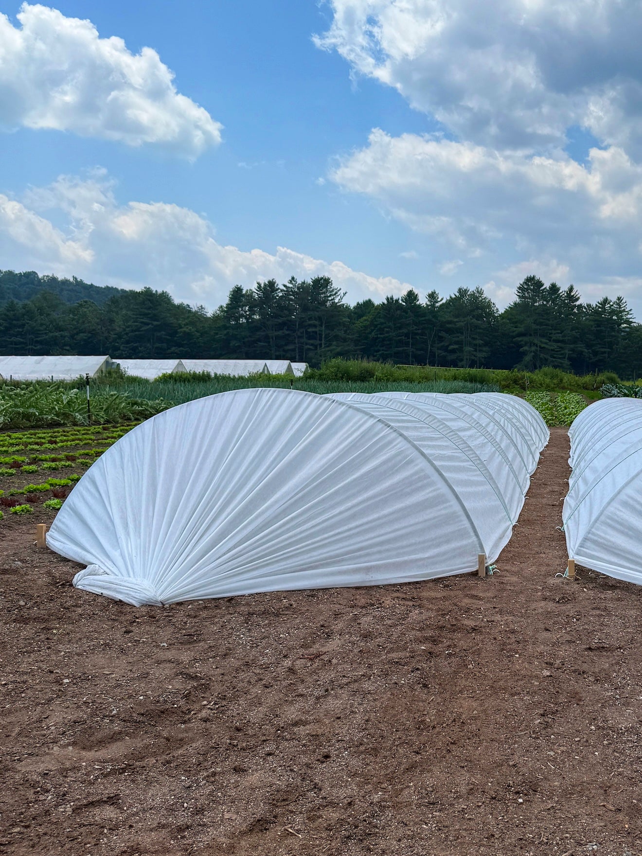 Frost Row Cover for LowCat Low Tunnels – Neversink Tools