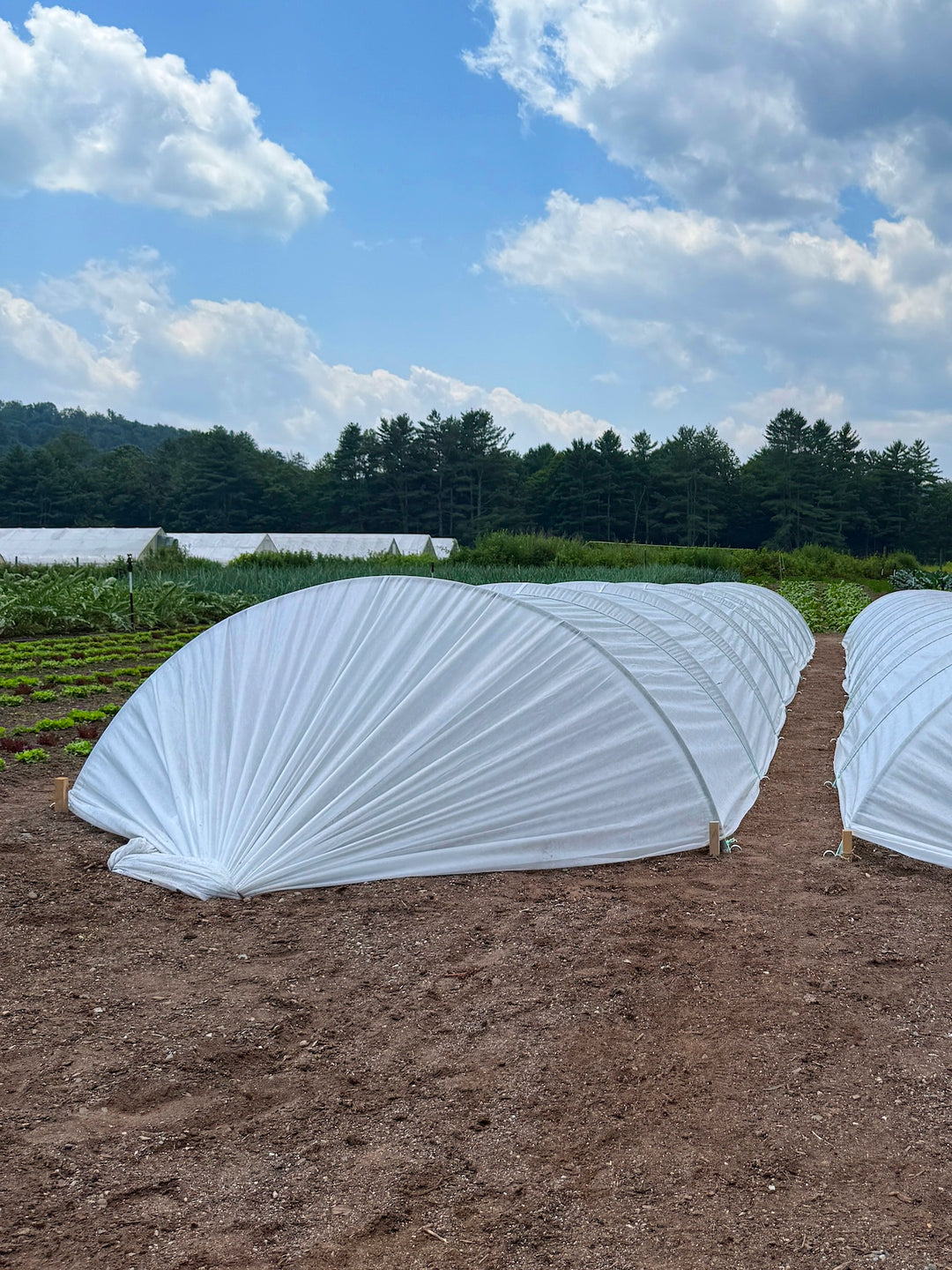 LowCat™ Frost Protection Covering