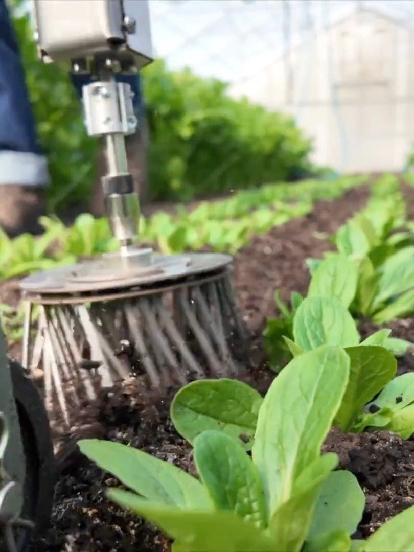 Huscle Brush Tine Heads