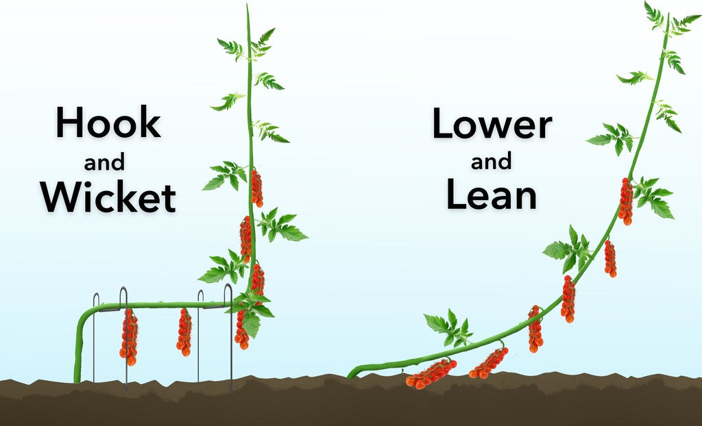 Hook and Wicket | Lower and Lean | Compared | What is the difference
