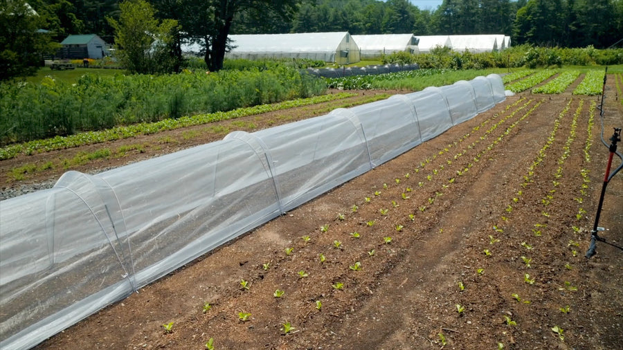 Insect Netting Crop Protection for LowCat Low Tunnel – Neversink Tools