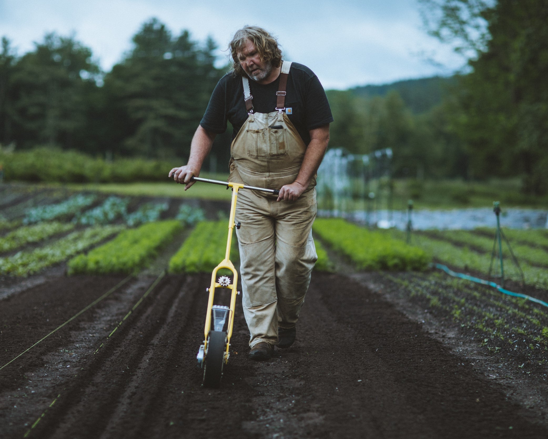 The Zipper Hoe - Creates Trenchs, Plants Paperpots, Seeds, Bulbs
