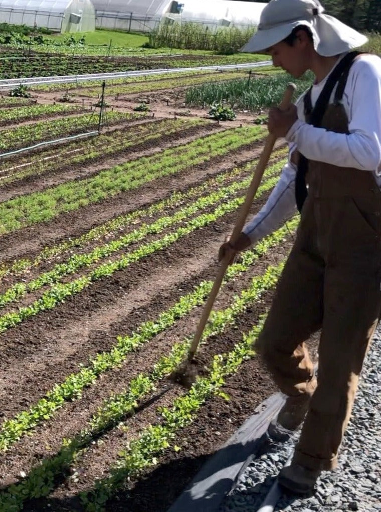 Perfectionist Thin Wire Hoe Kit Wire Weeder Interchangeable