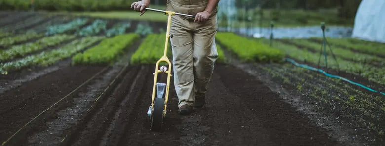 Jang push seeders for market garden planting